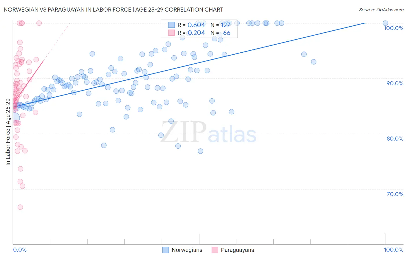 Norwegian vs Paraguayan In Labor Force | Age 25-29