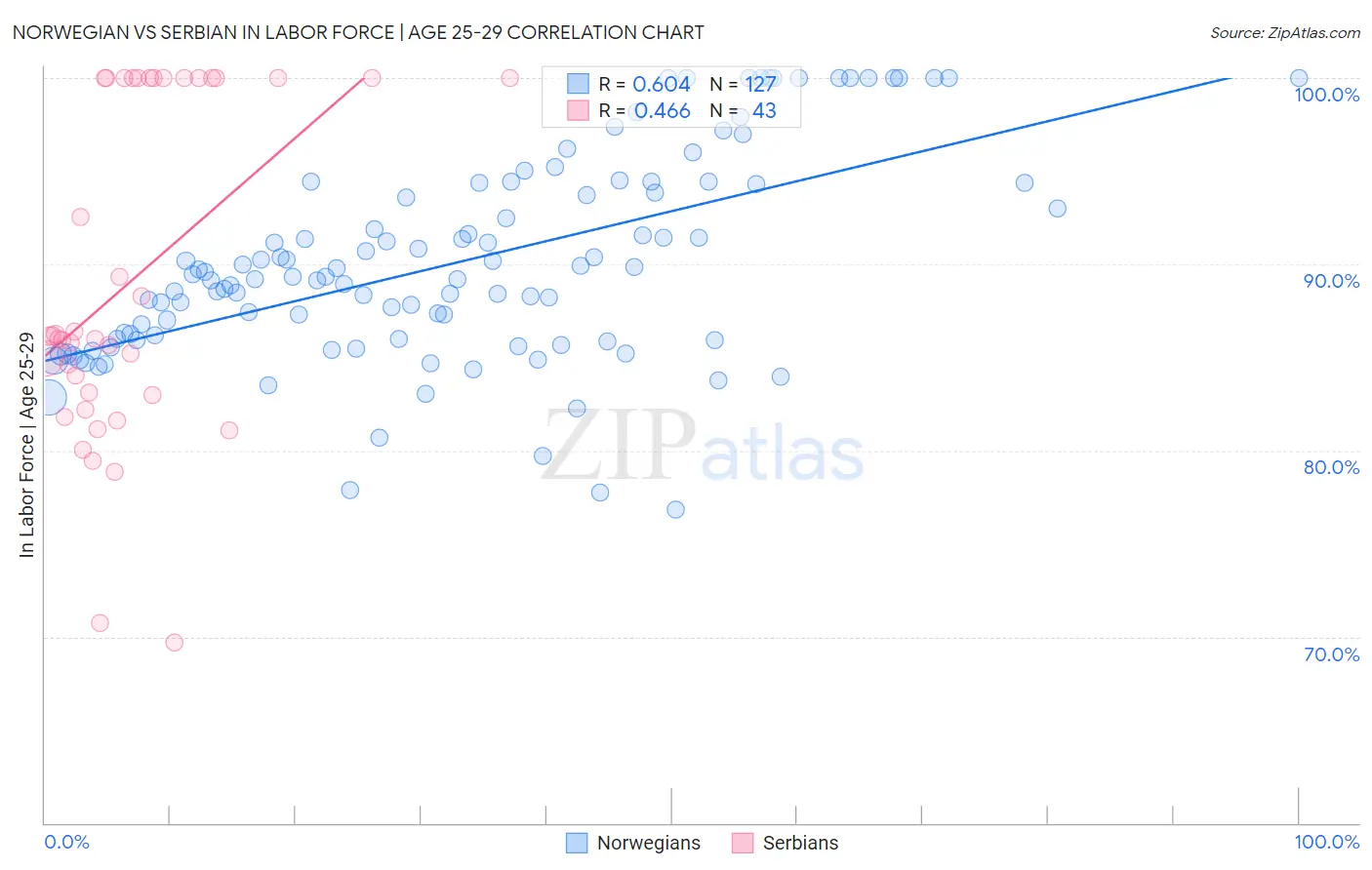 Norwegian vs Serbian In Labor Force | Age 25-29