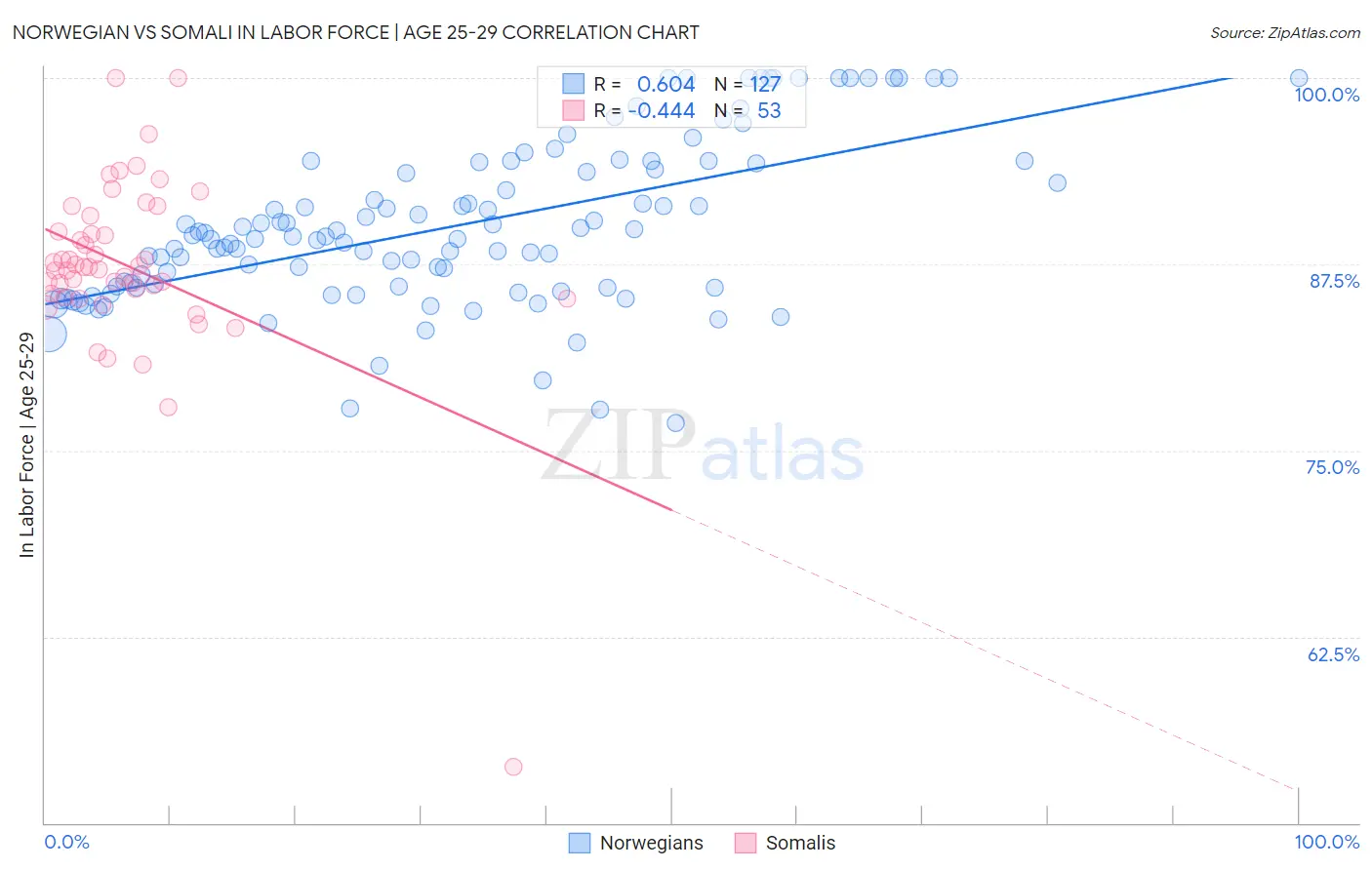 Norwegian vs Somali In Labor Force | Age 25-29