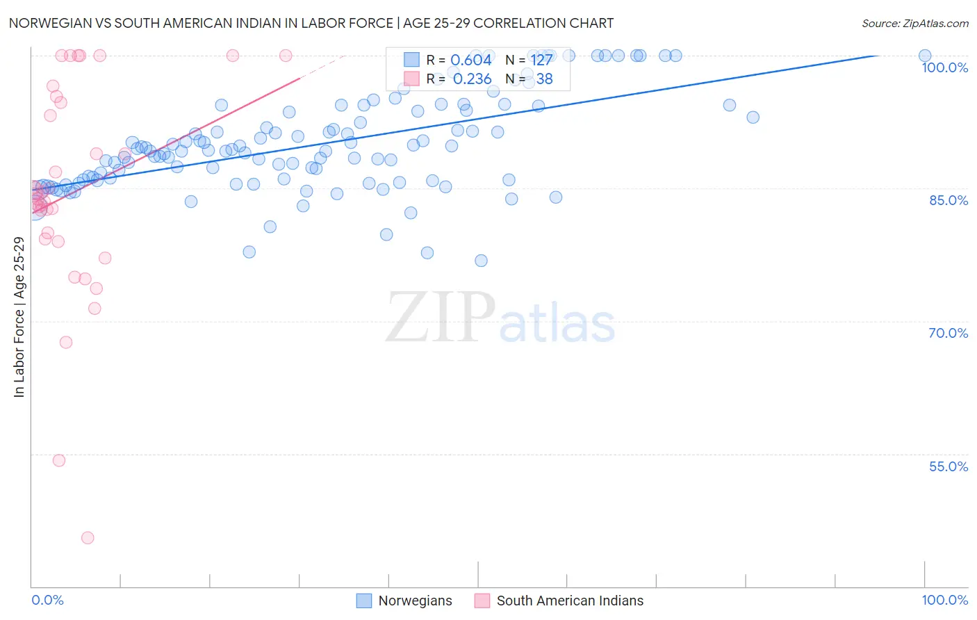 Norwegian vs South American Indian In Labor Force | Age 25-29