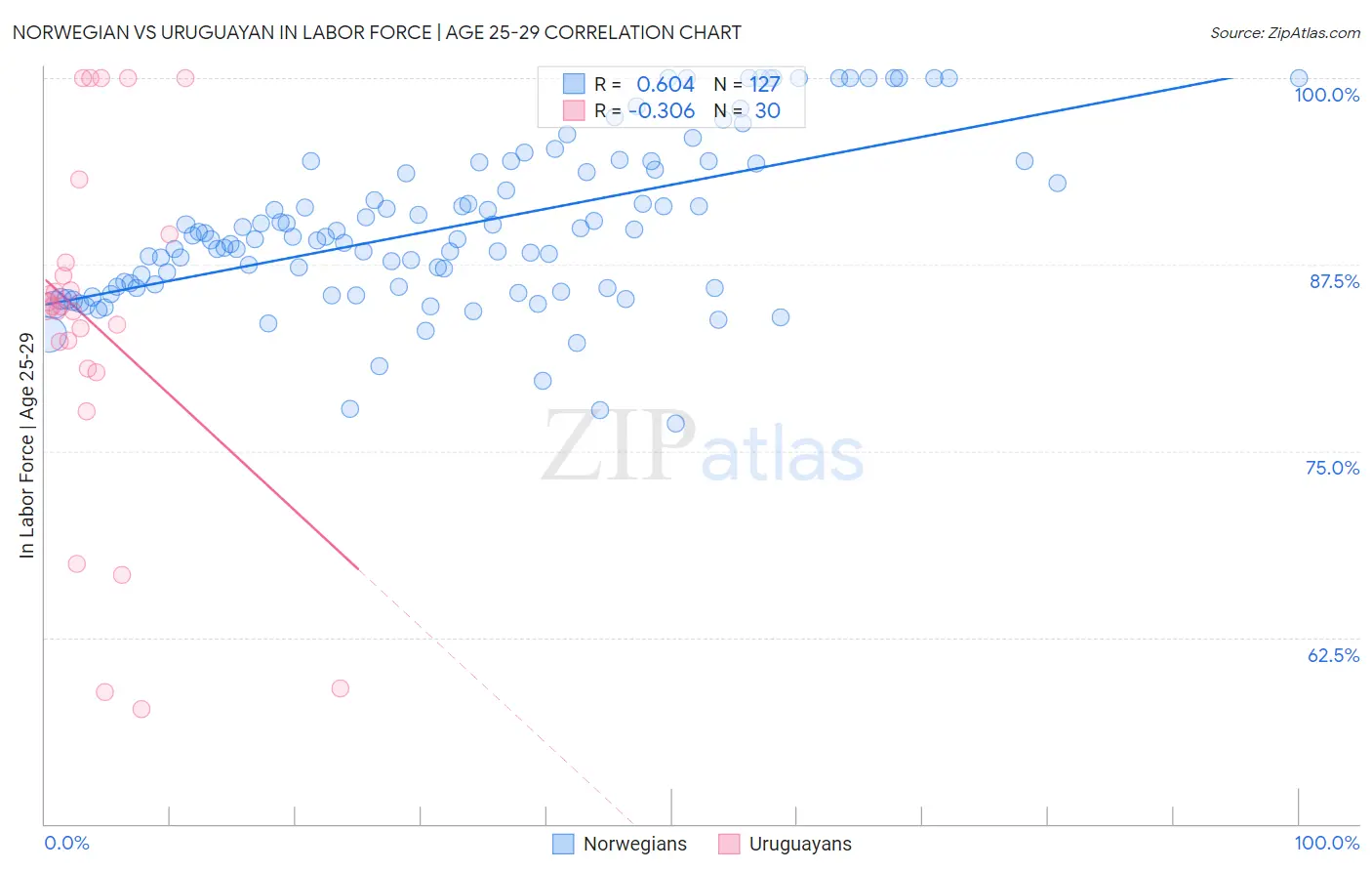 Norwegian vs Uruguayan In Labor Force | Age 25-29