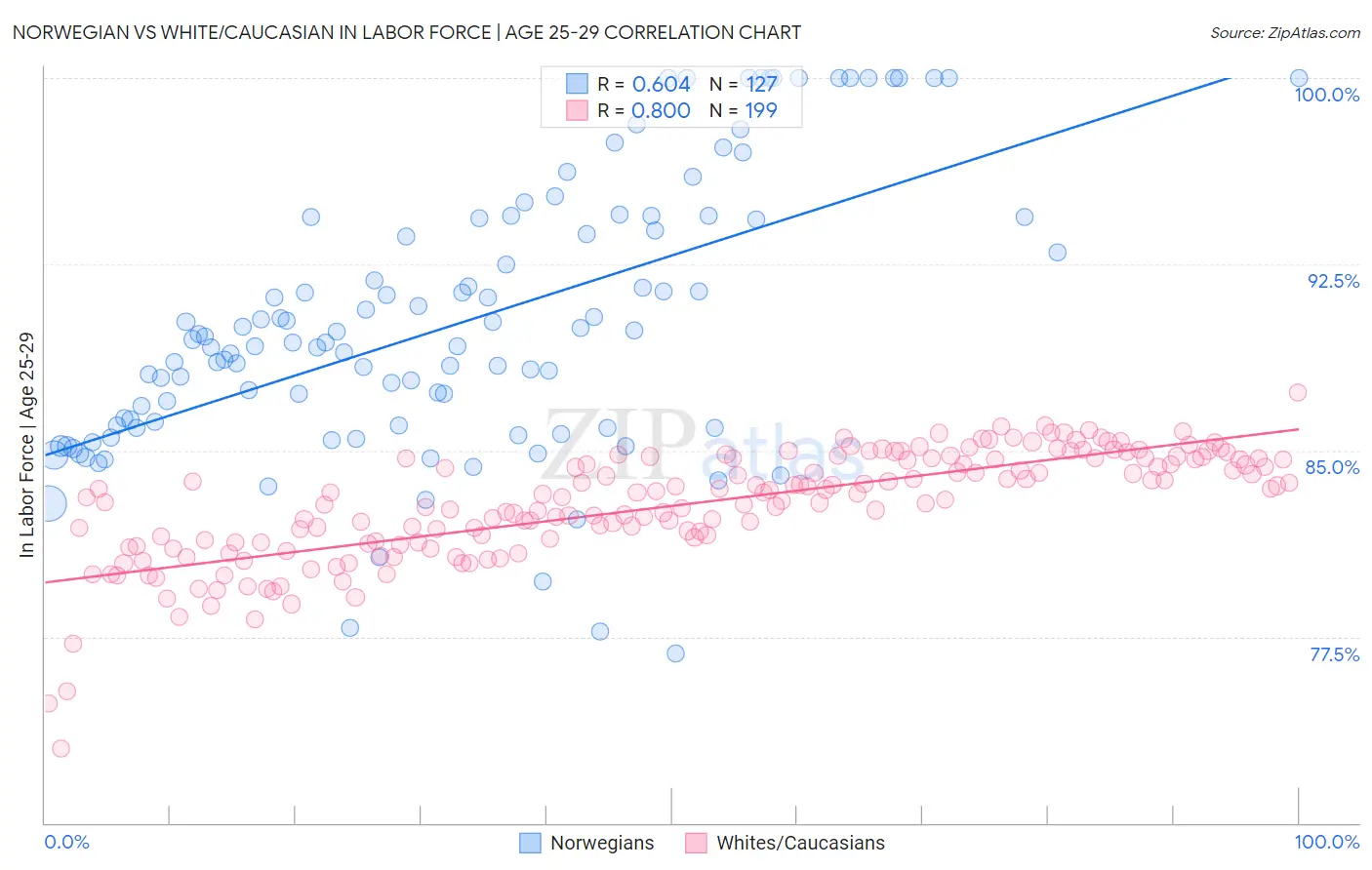 Norwegian vs White/Caucasian In Labor Force | Age 25-29