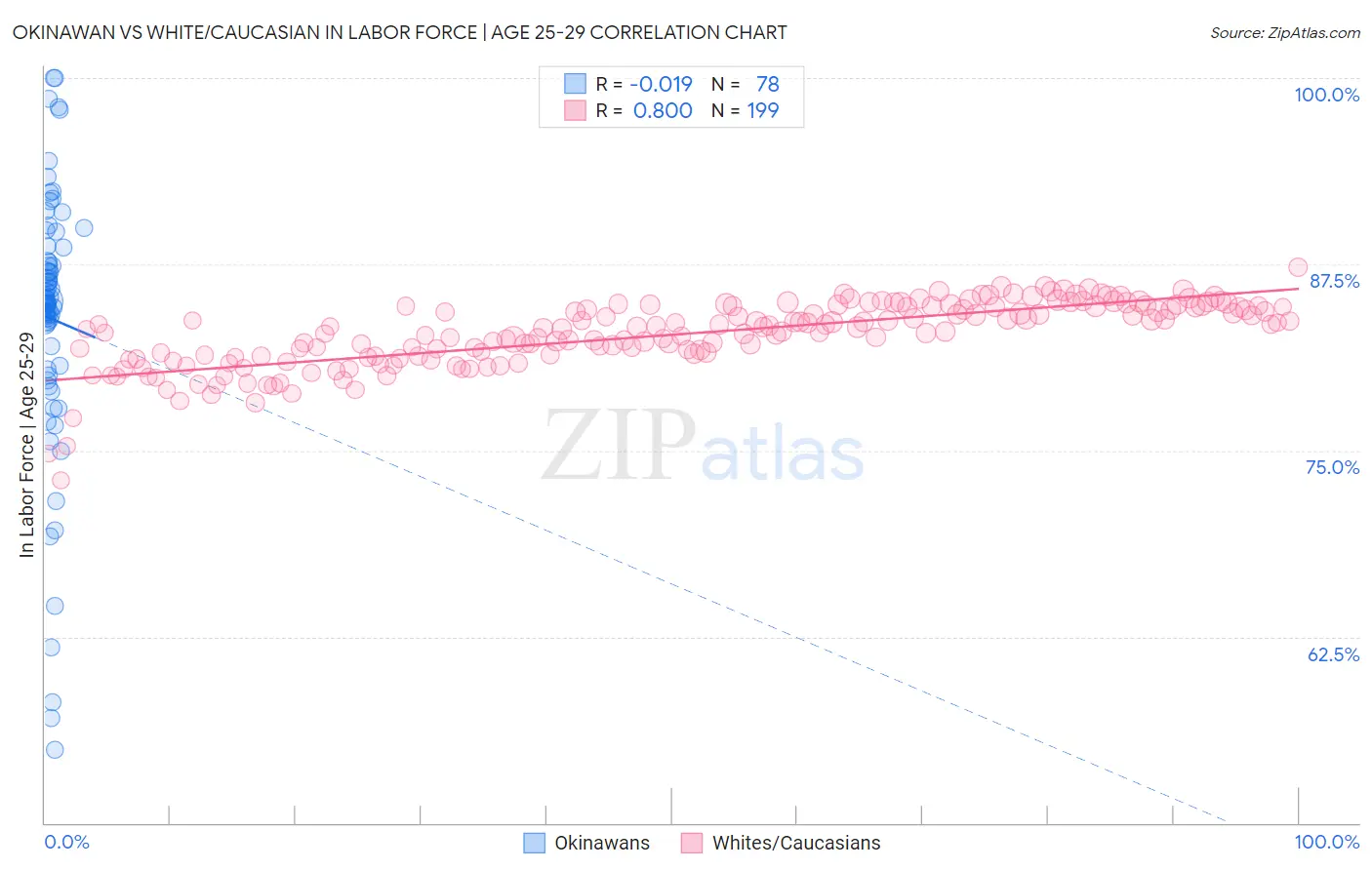 Okinawan vs White/Caucasian In Labor Force | Age 25-29