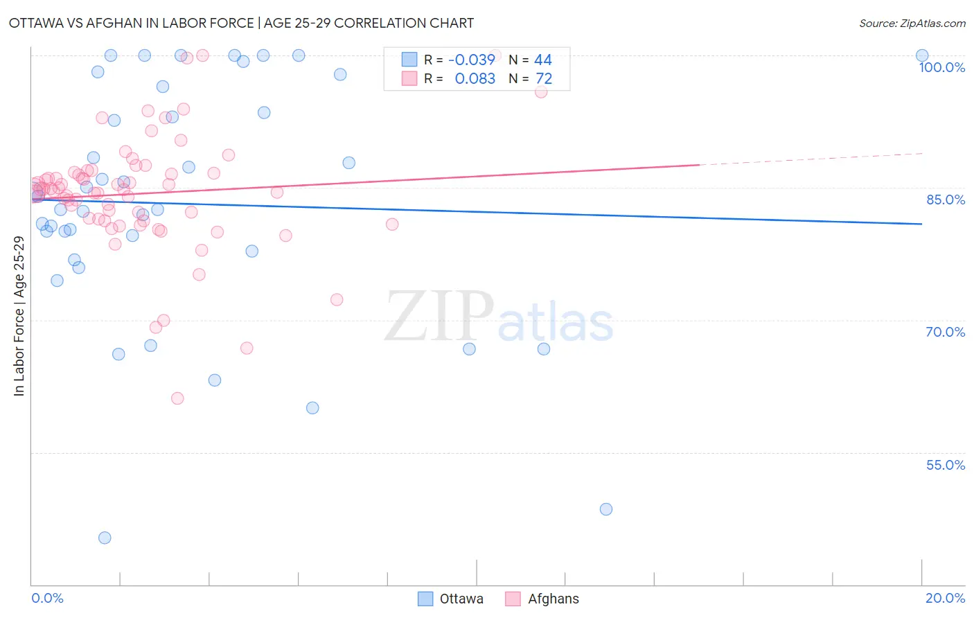 Ottawa vs Afghan In Labor Force | Age 25-29