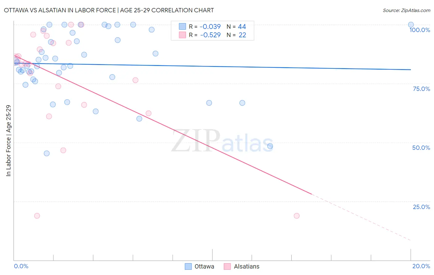 Ottawa vs Alsatian In Labor Force | Age 25-29