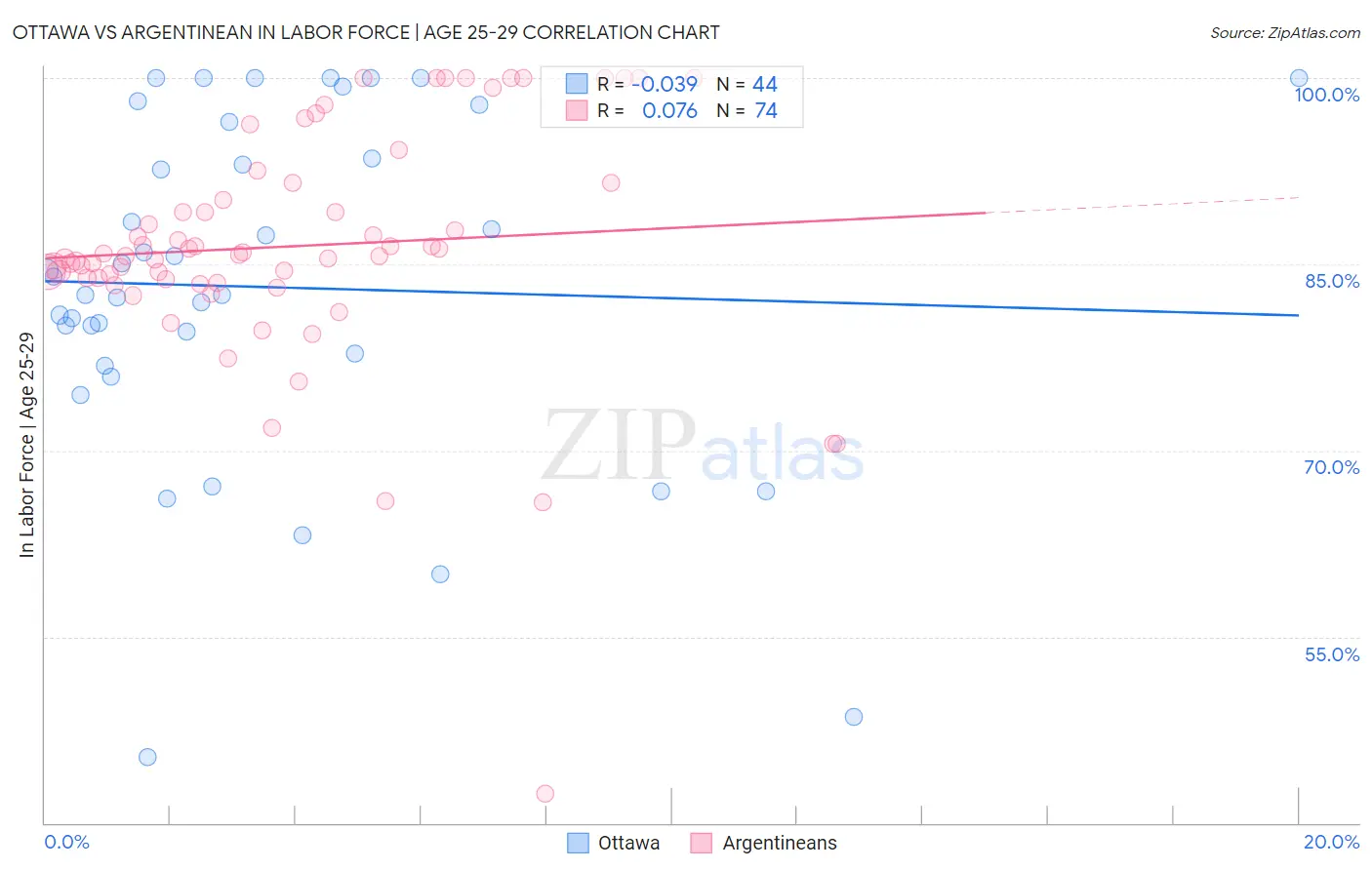 Ottawa vs Argentinean In Labor Force | Age 25-29