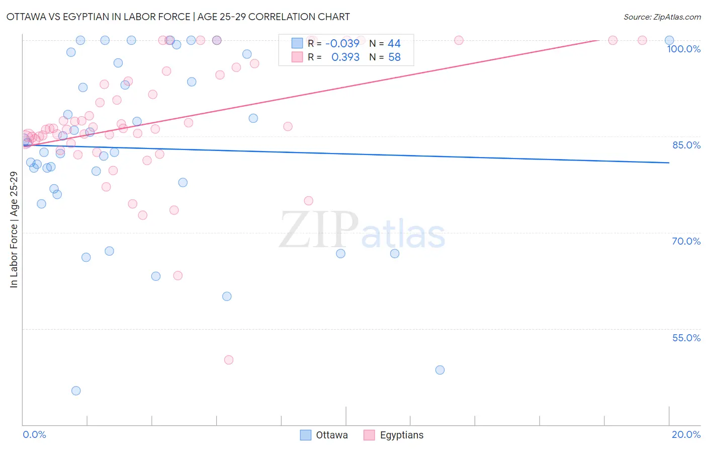 Ottawa vs Egyptian In Labor Force | Age 25-29