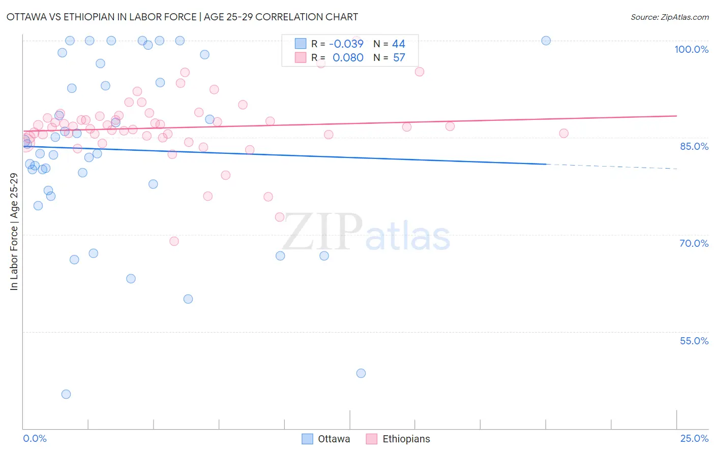 Ottawa vs Ethiopian In Labor Force | Age 25-29