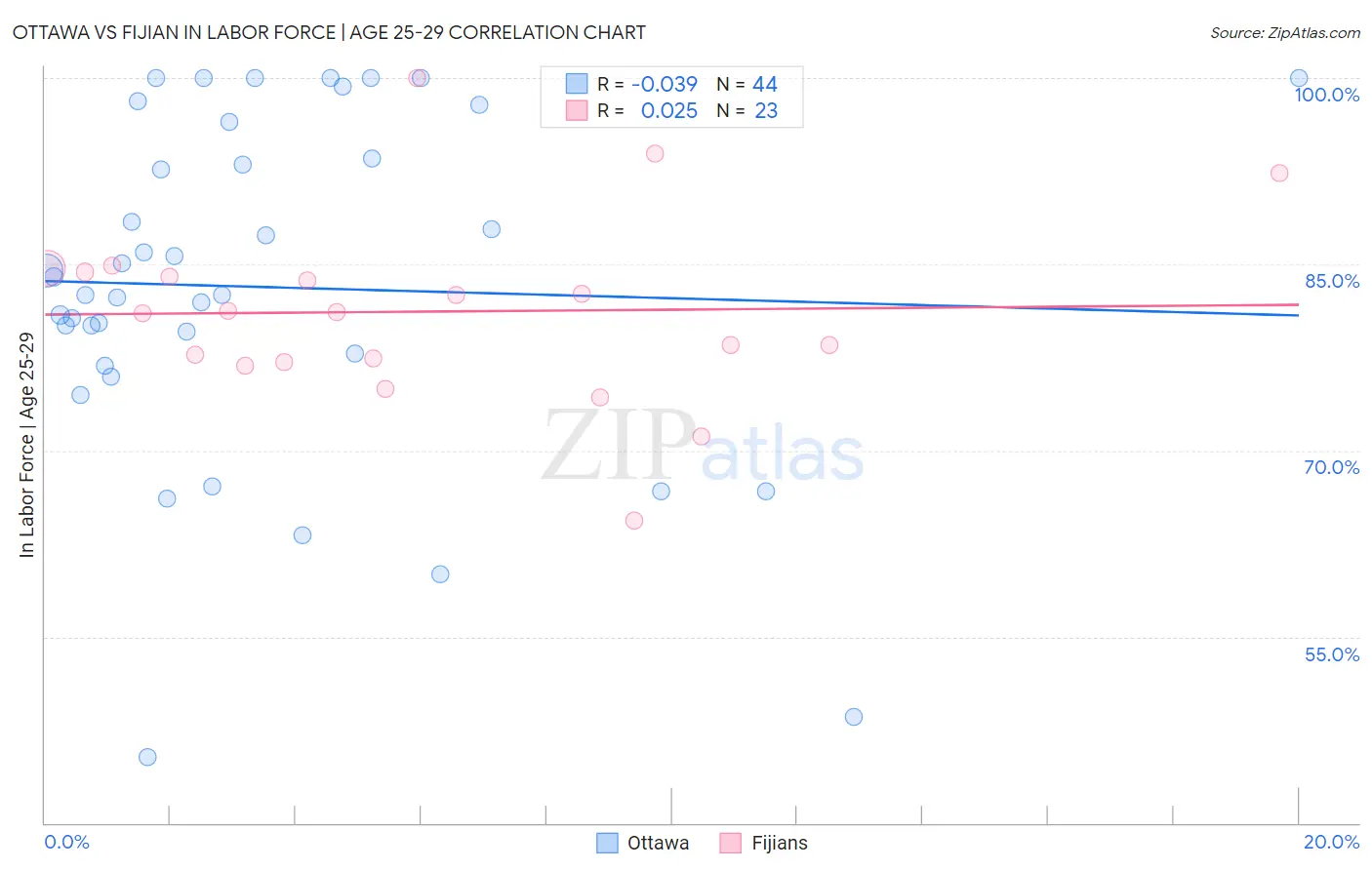Ottawa vs Fijian In Labor Force | Age 25-29