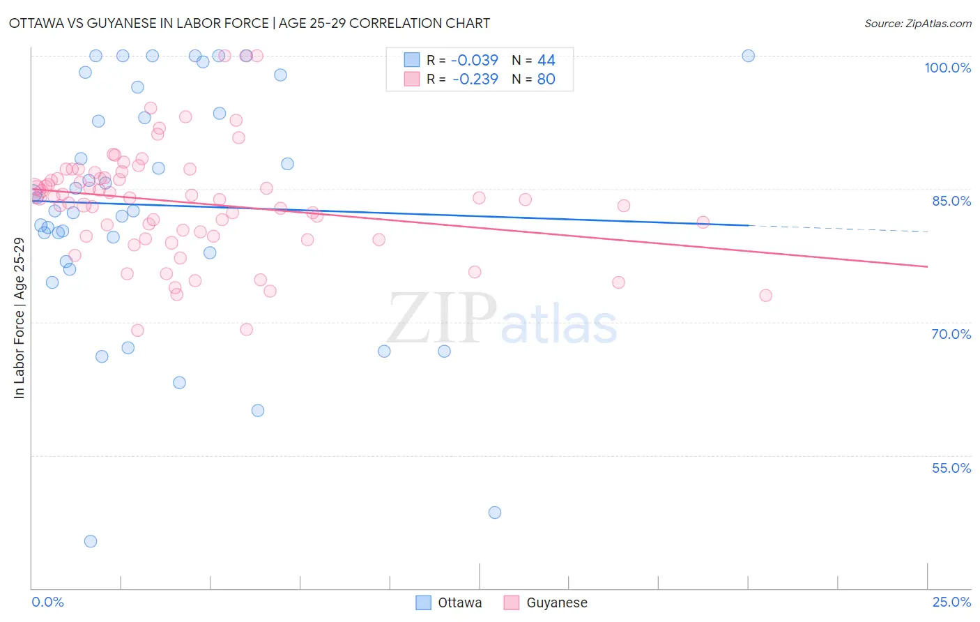 Ottawa vs Guyanese In Labor Force | Age 25-29