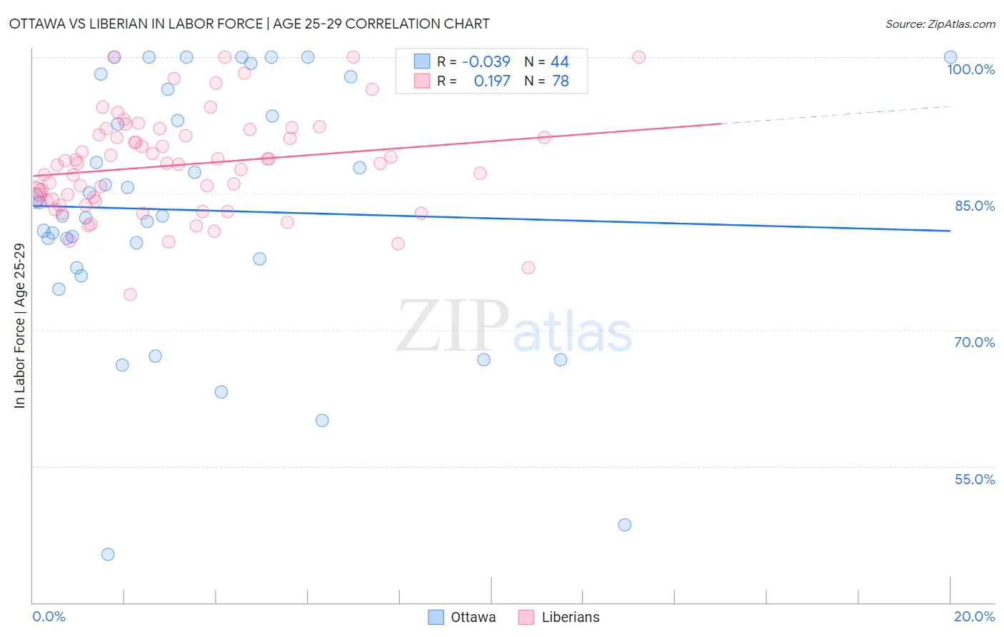 Ottawa vs Liberian In Labor Force | Age 25-29