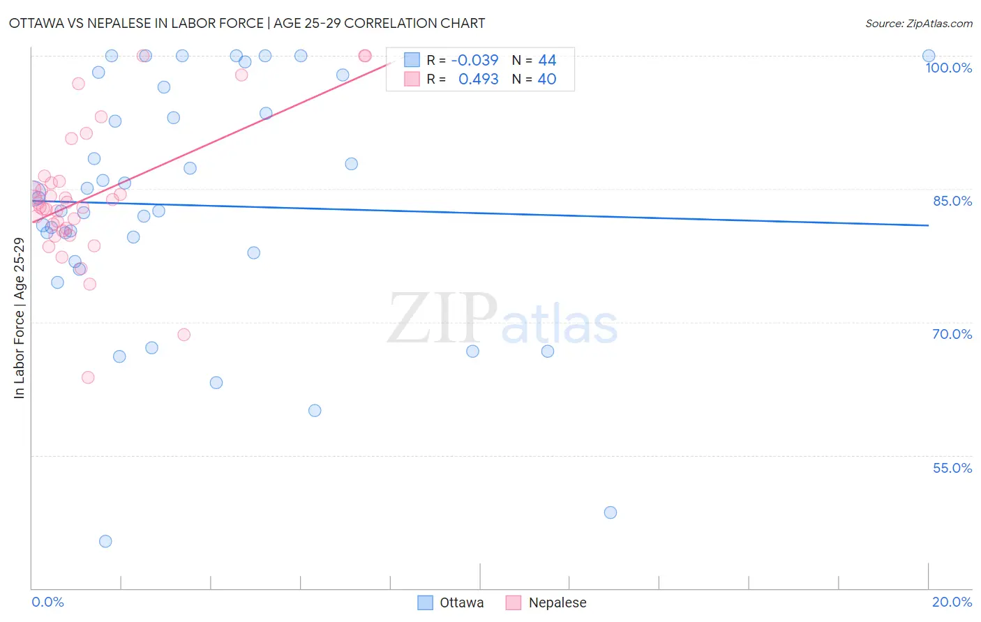 Ottawa vs Nepalese In Labor Force | Age 25-29