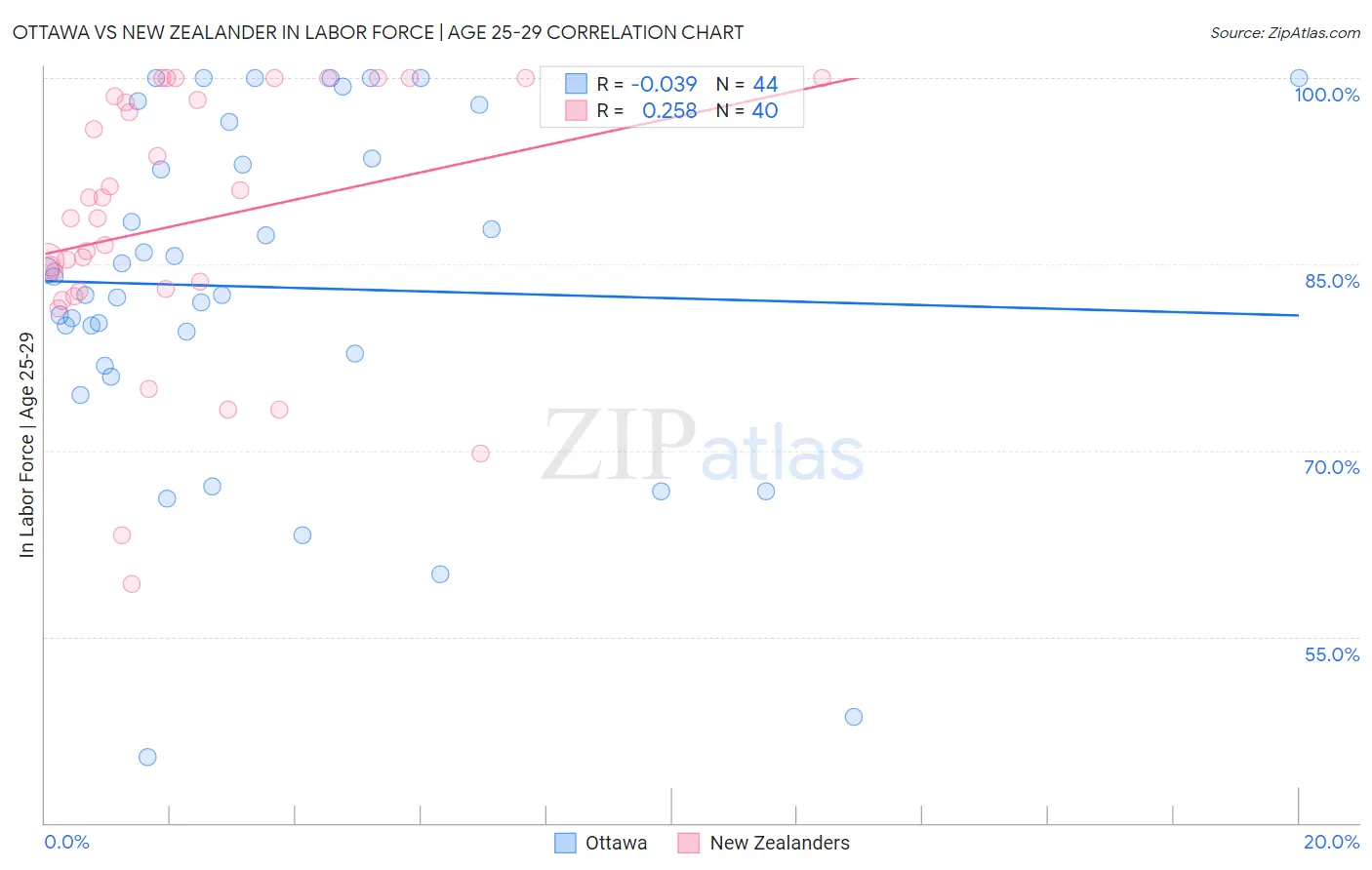 Ottawa vs New Zealander In Labor Force | Age 25-29