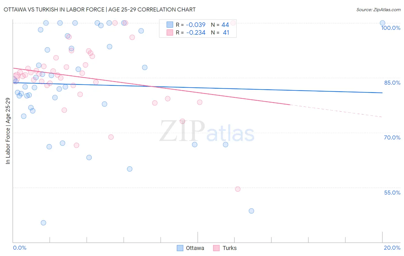 Ottawa vs Turkish In Labor Force | Age 25-29
