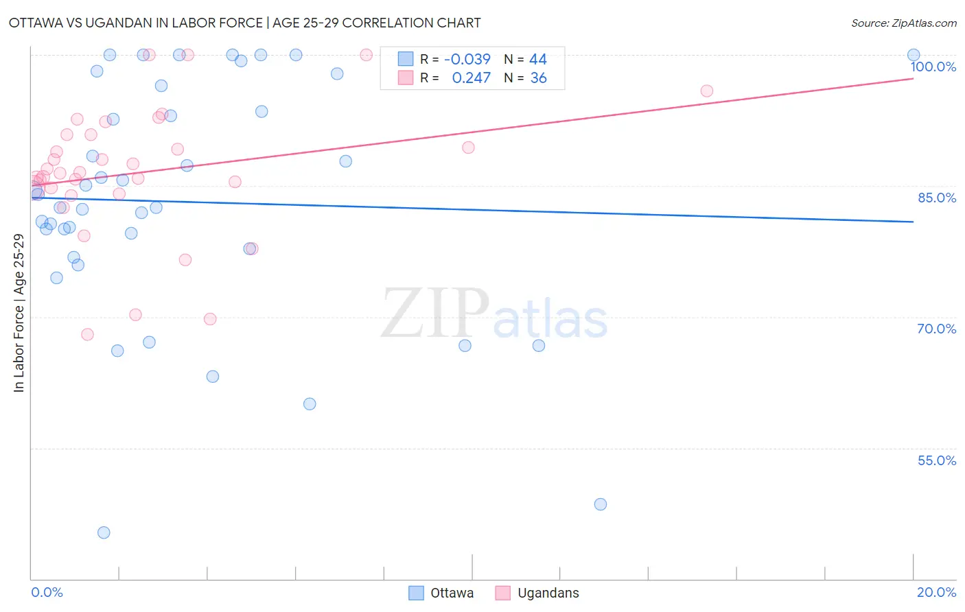 Ottawa vs Ugandan In Labor Force | Age 25-29