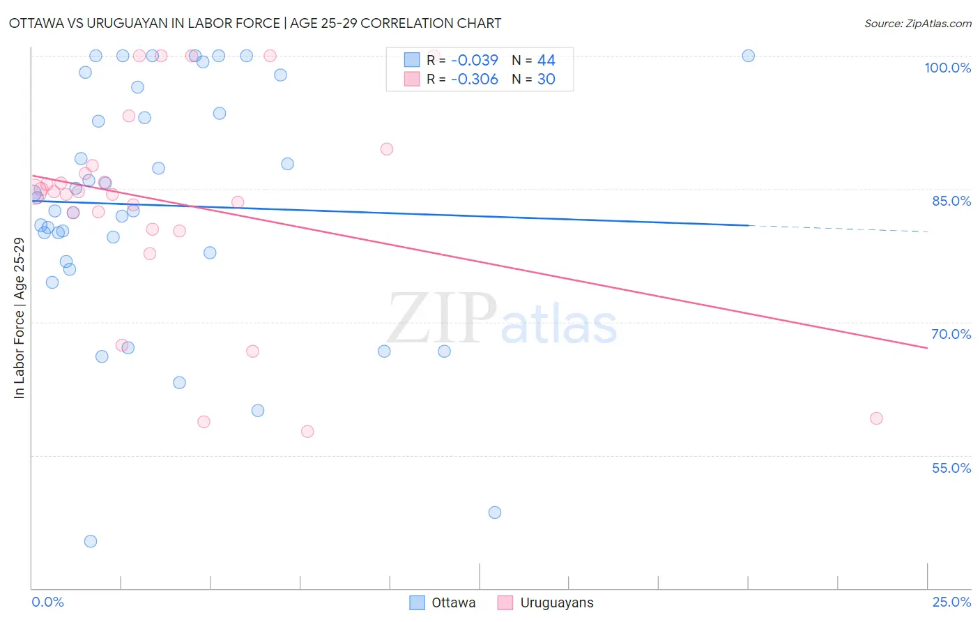 Ottawa vs Uruguayan In Labor Force | Age 25-29