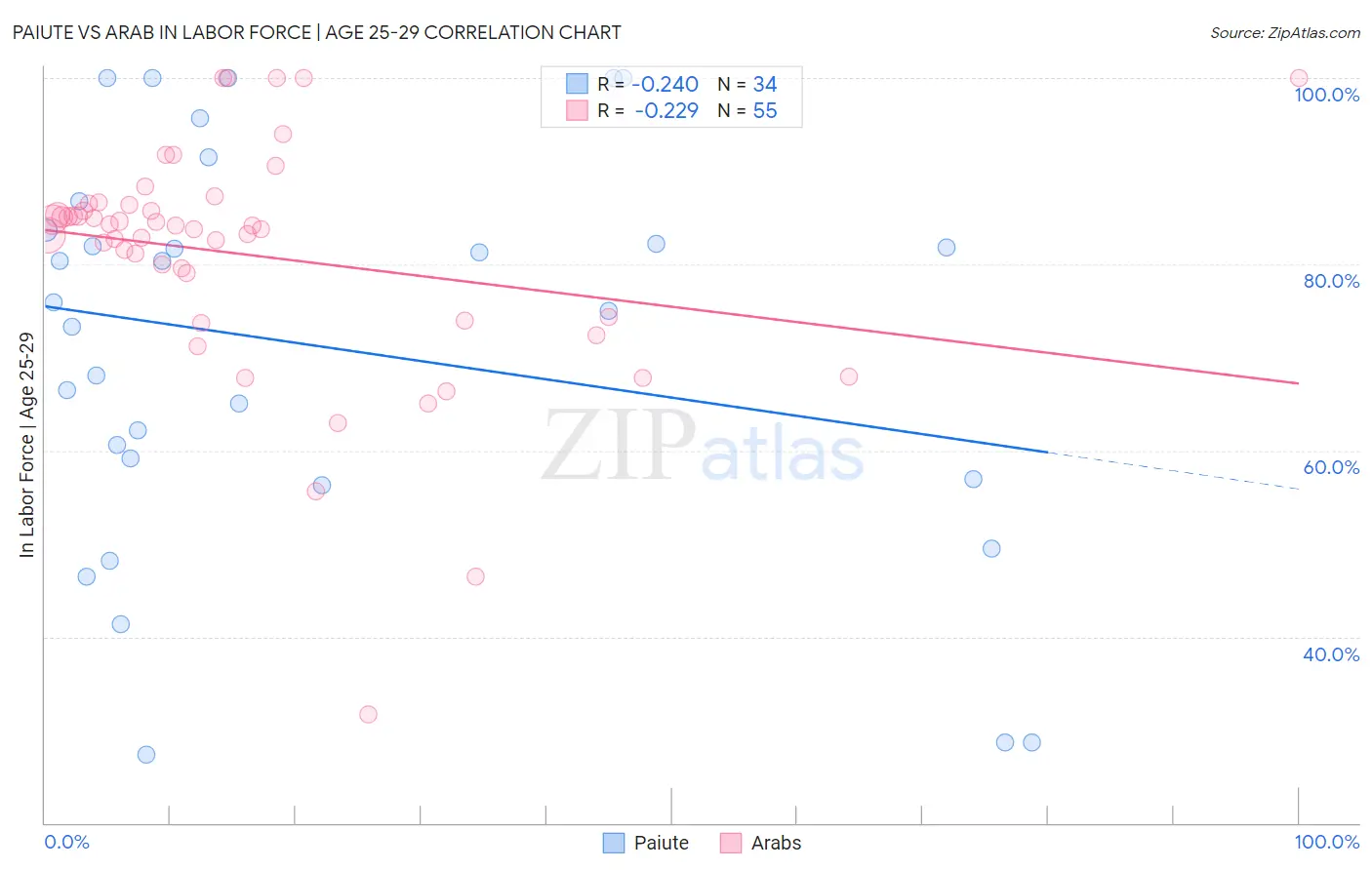 Paiute vs Arab In Labor Force | Age 25-29