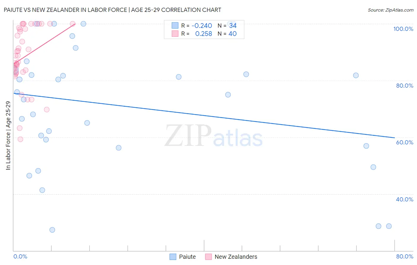 Paiute vs New Zealander In Labor Force | Age 25-29