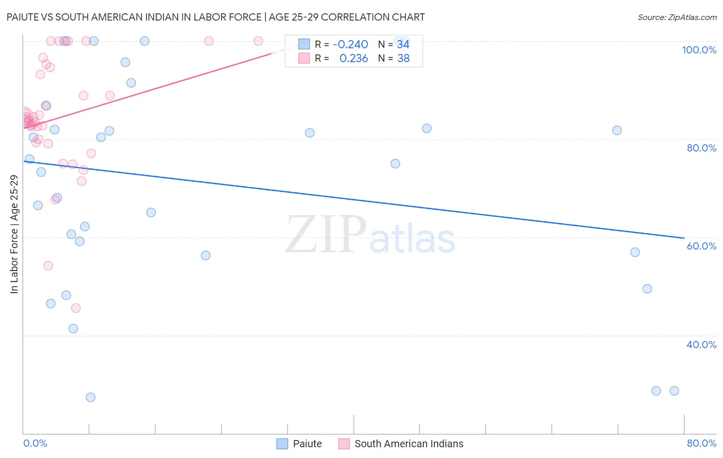 Paiute vs South American Indian In Labor Force | Age 25-29