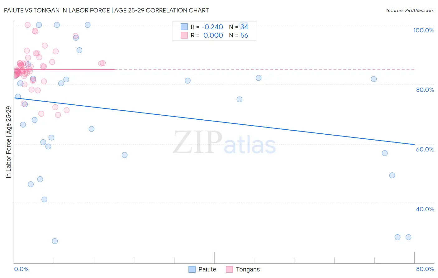 Paiute vs Tongan In Labor Force | Age 25-29