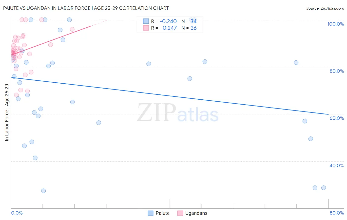 Paiute vs Ugandan In Labor Force | Age 25-29