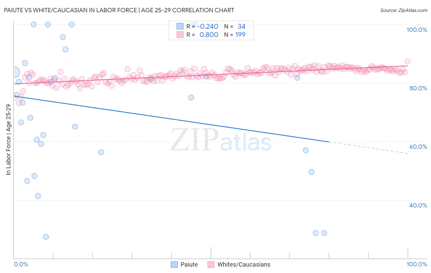 Paiute vs White/Caucasian In Labor Force | Age 25-29