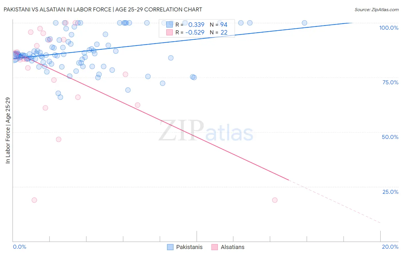 Pakistani vs Alsatian In Labor Force | Age 25-29