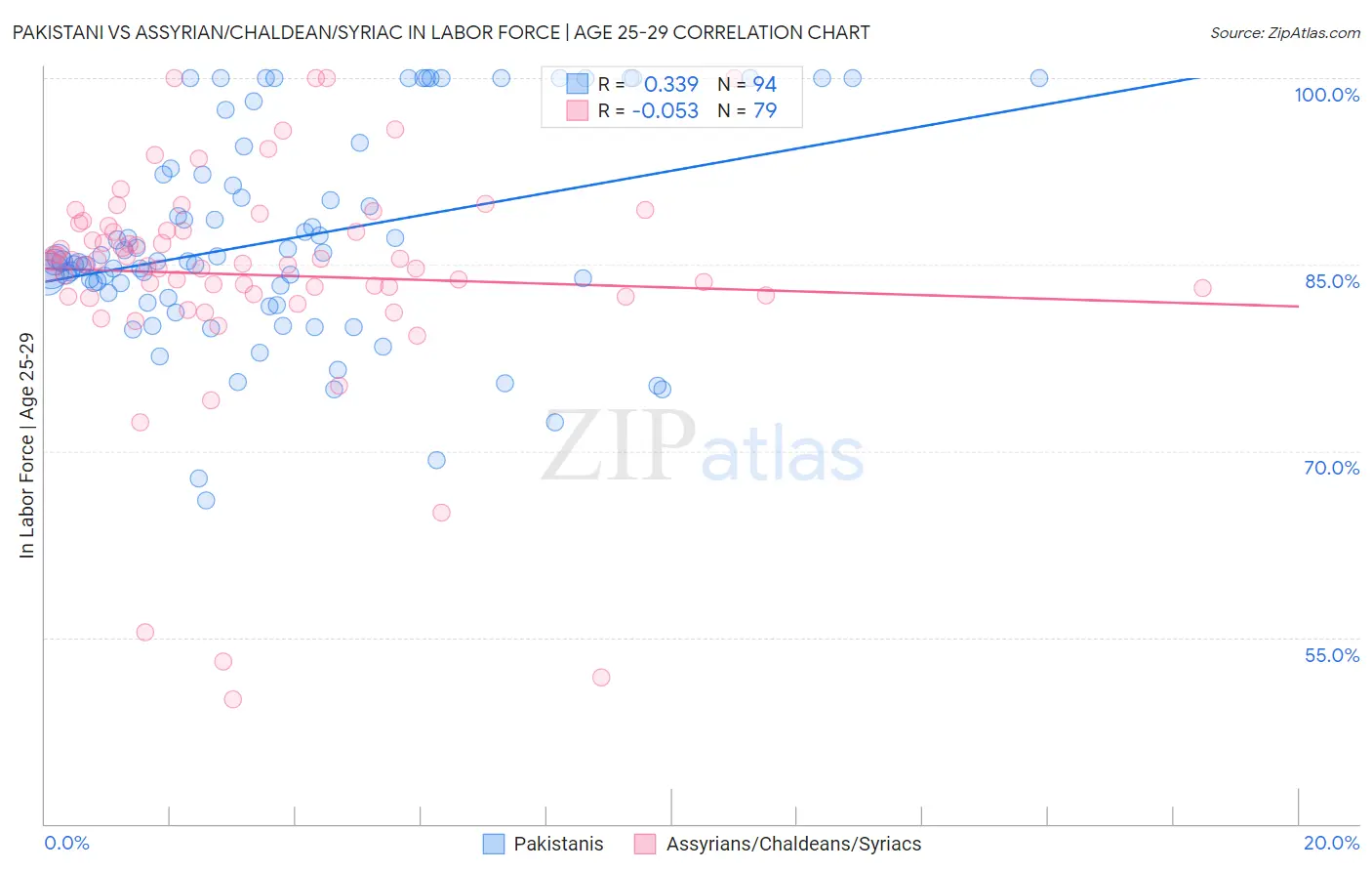 Pakistani vs Assyrian/Chaldean/Syriac In Labor Force | Age 25-29