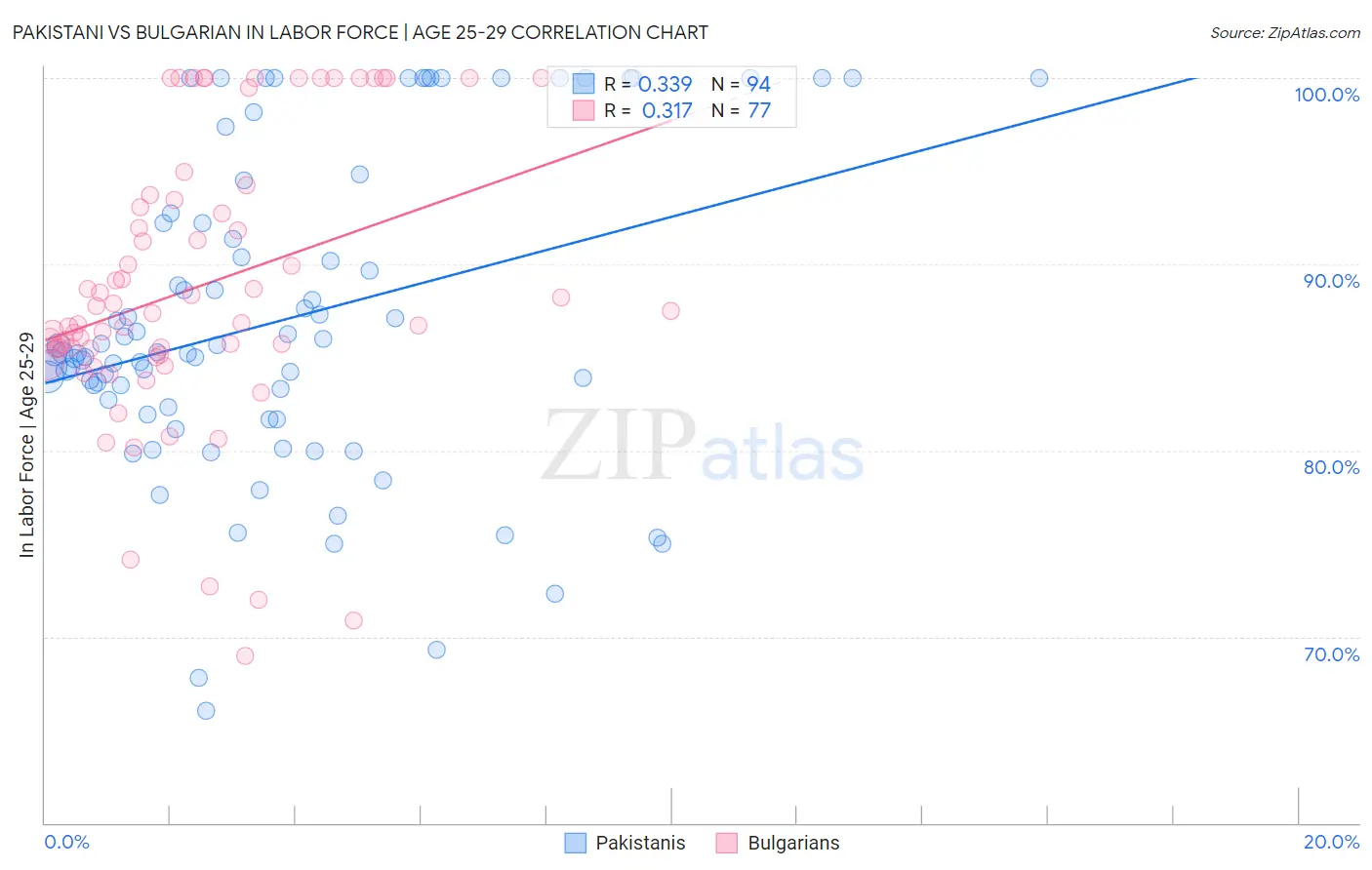 Pakistani vs Bulgarian In Labor Force | Age 25-29
