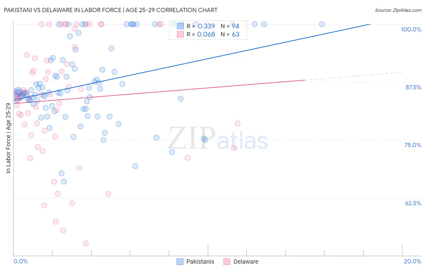 Pakistani vs Delaware In Labor Force | Age 25-29