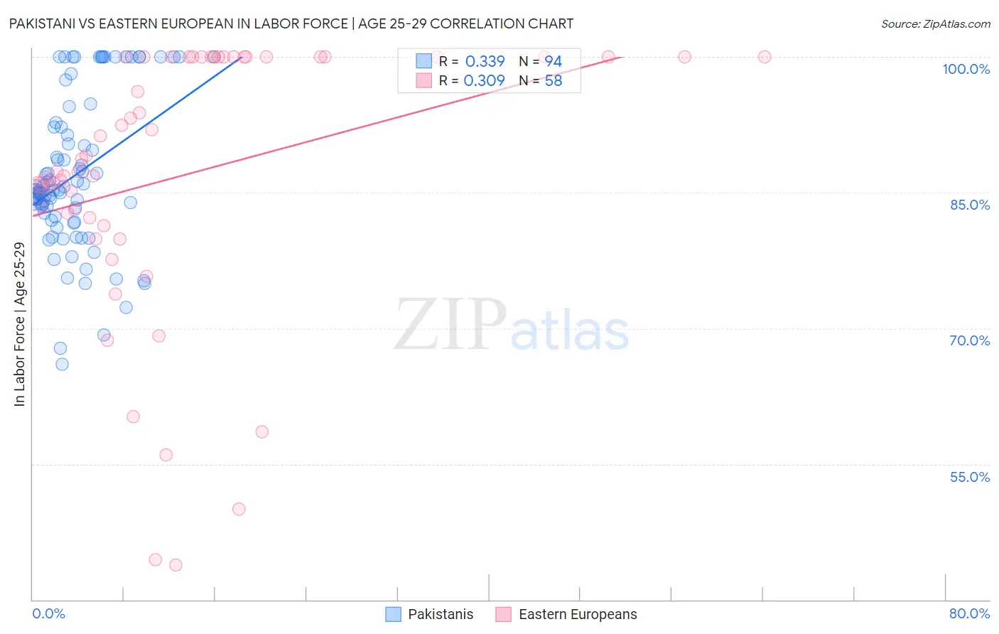 Pakistani vs Eastern European In Labor Force | Age 25-29