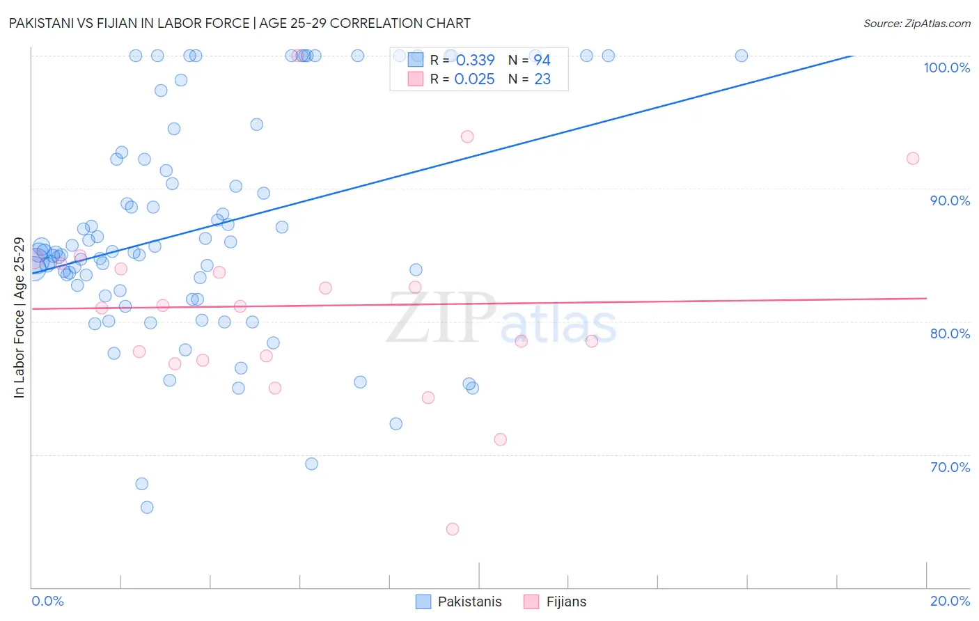 Pakistani vs Fijian In Labor Force | Age 25-29