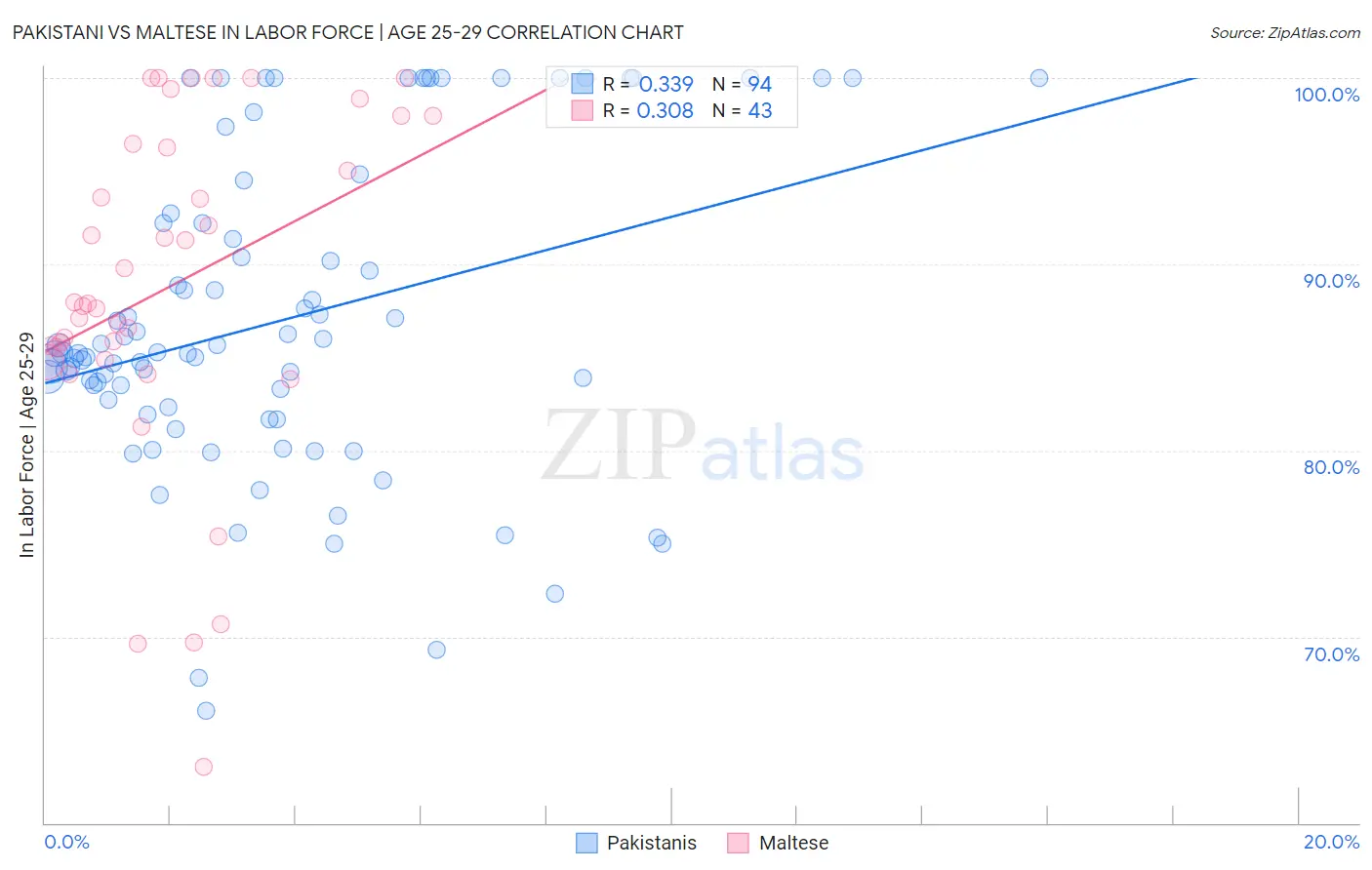 Pakistani vs Maltese In Labor Force | Age 25-29
