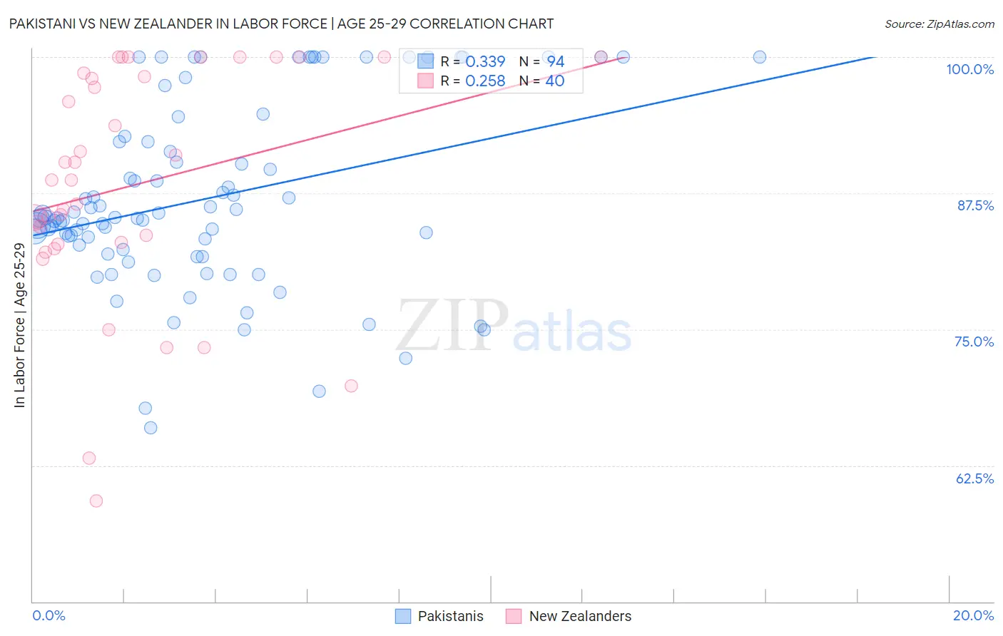 Pakistani vs New Zealander In Labor Force | Age 25-29