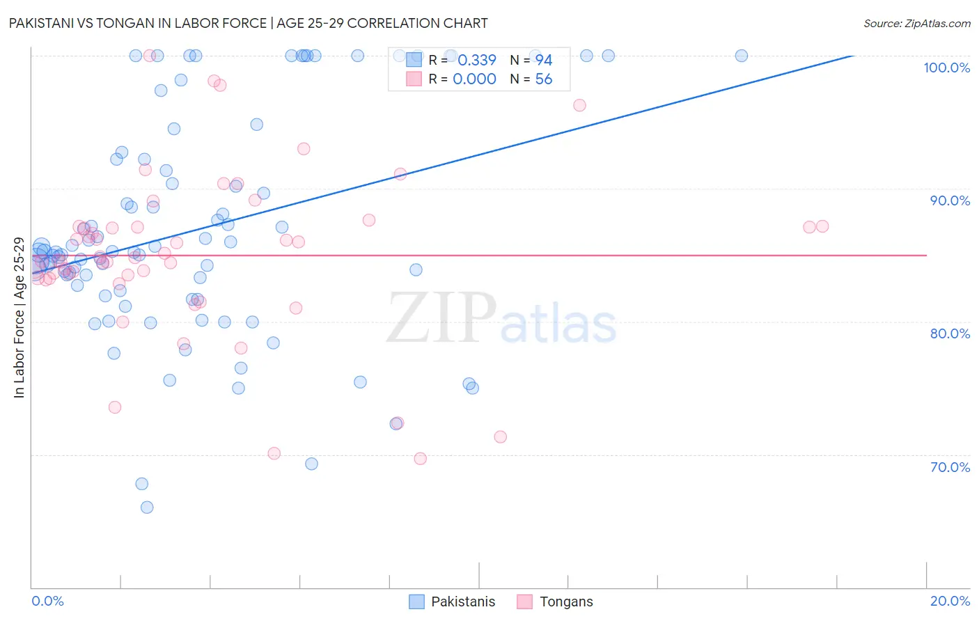 Pakistani vs Tongan In Labor Force | Age 25-29