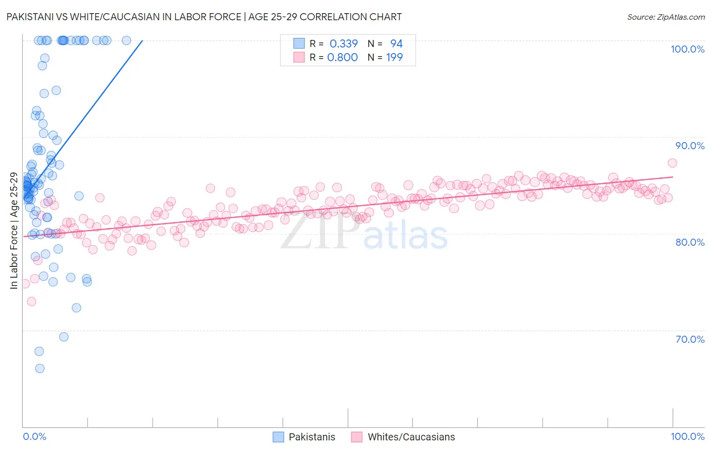Pakistani vs White/Caucasian In Labor Force | Age 25-29