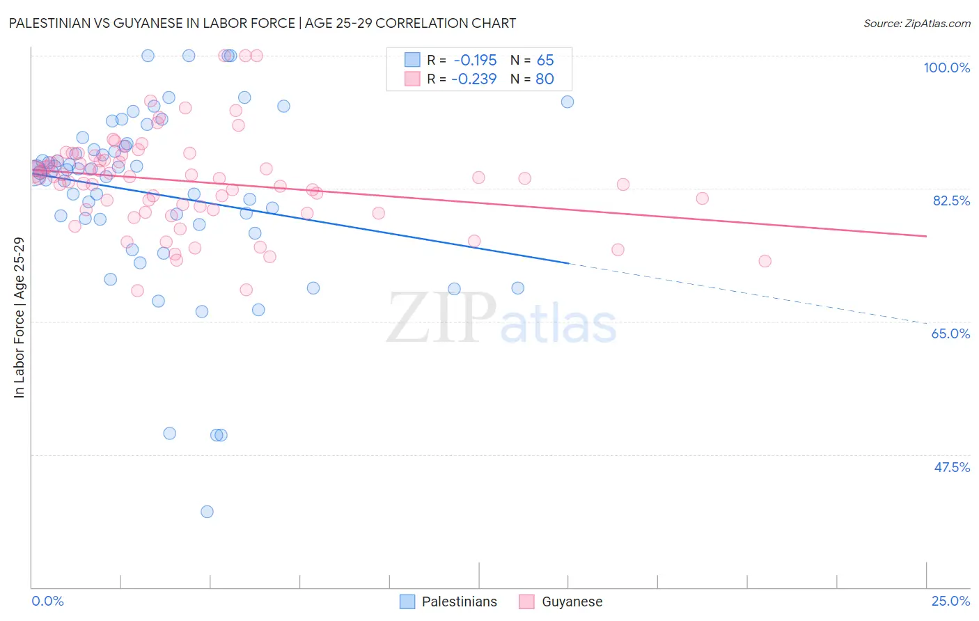 Palestinian vs Guyanese In Labor Force | Age 25-29