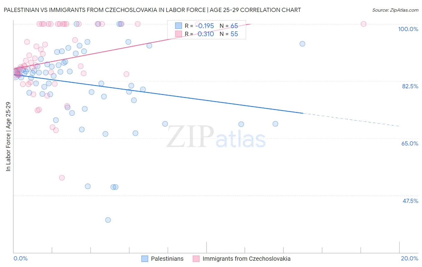 Palestinian vs Immigrants from Czechoslovakia In Labor Force | Age 25-29