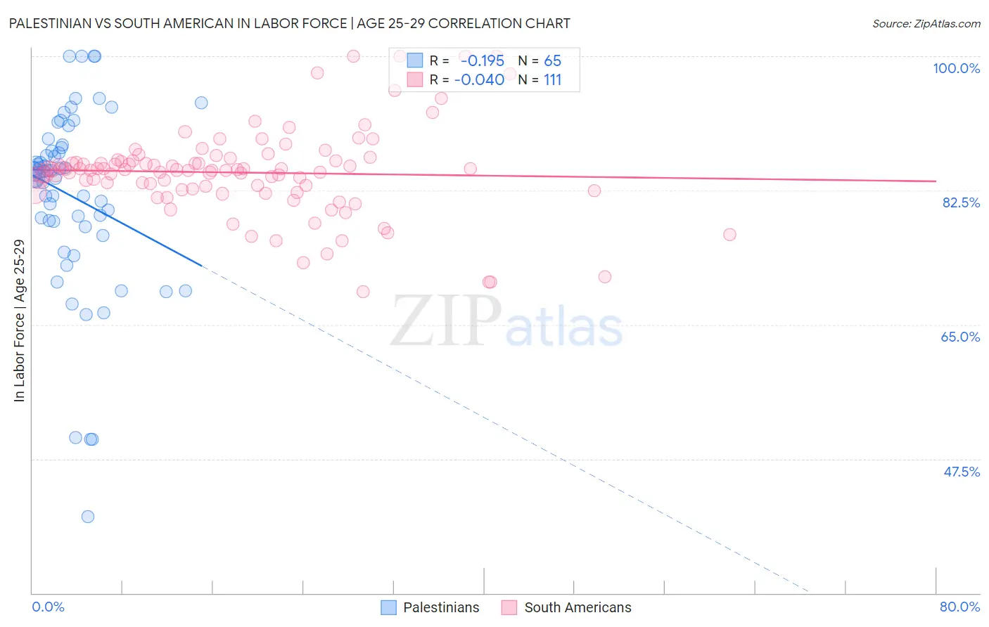 Palestinian vs South American In Labor Force | Age 25-29