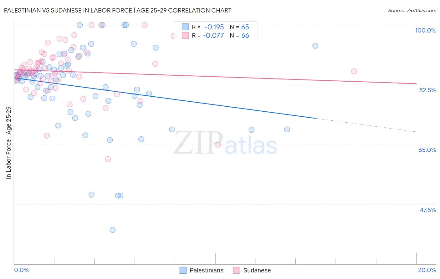 Palestinian vs Sudanese In Labor Force | Age 25-29
