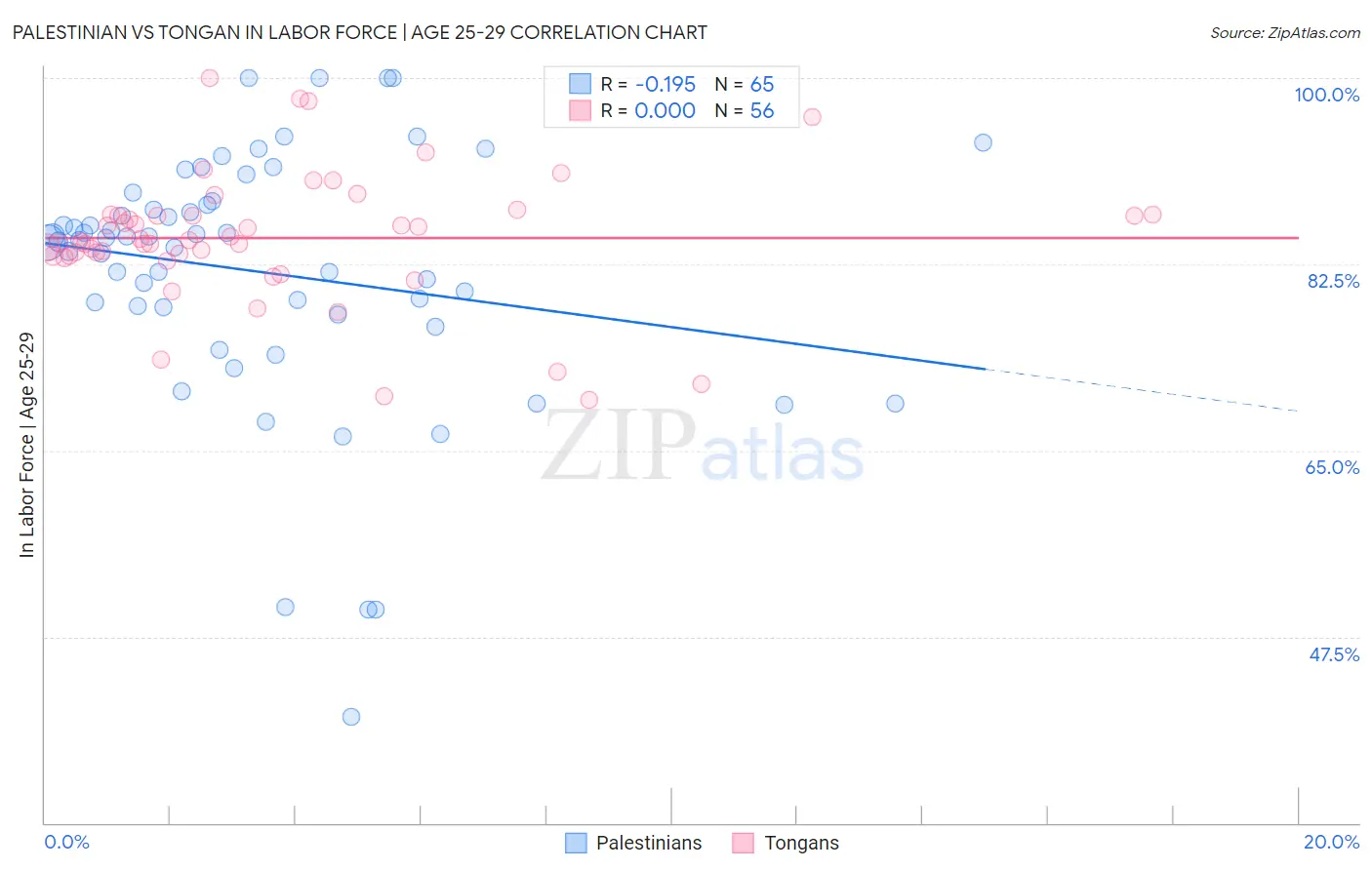 Palestinian vs Tongan In Labor Force | Age 25-29