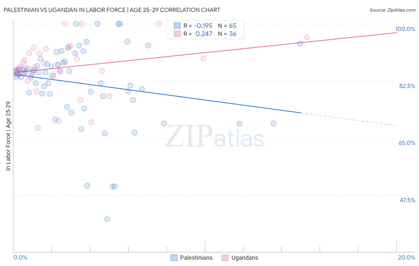 Palestinian vs Ugandan In Labor Force | Age 25-29