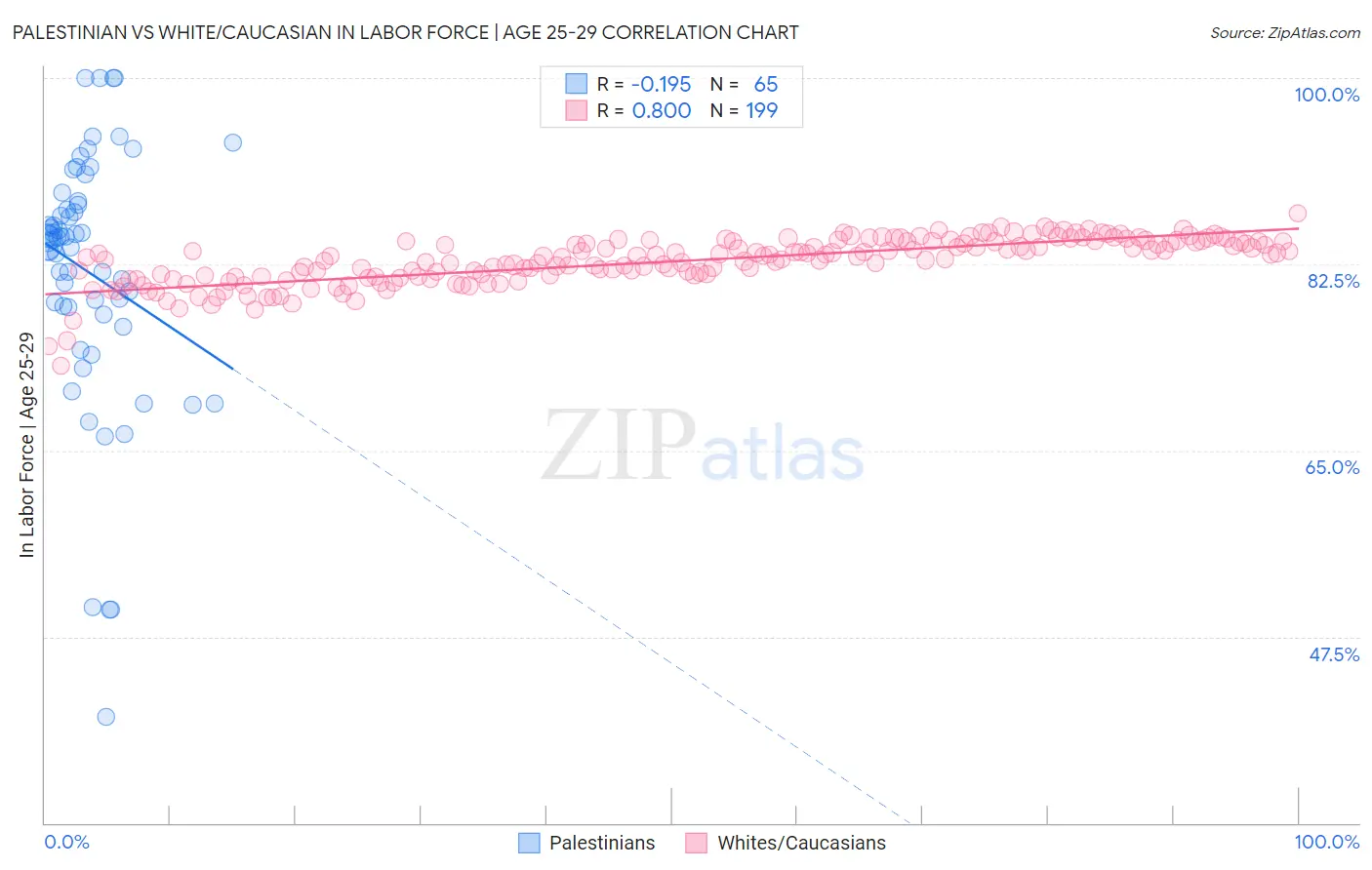 Palestinian vs White/Caucasian In Labor Force | Age 25-29