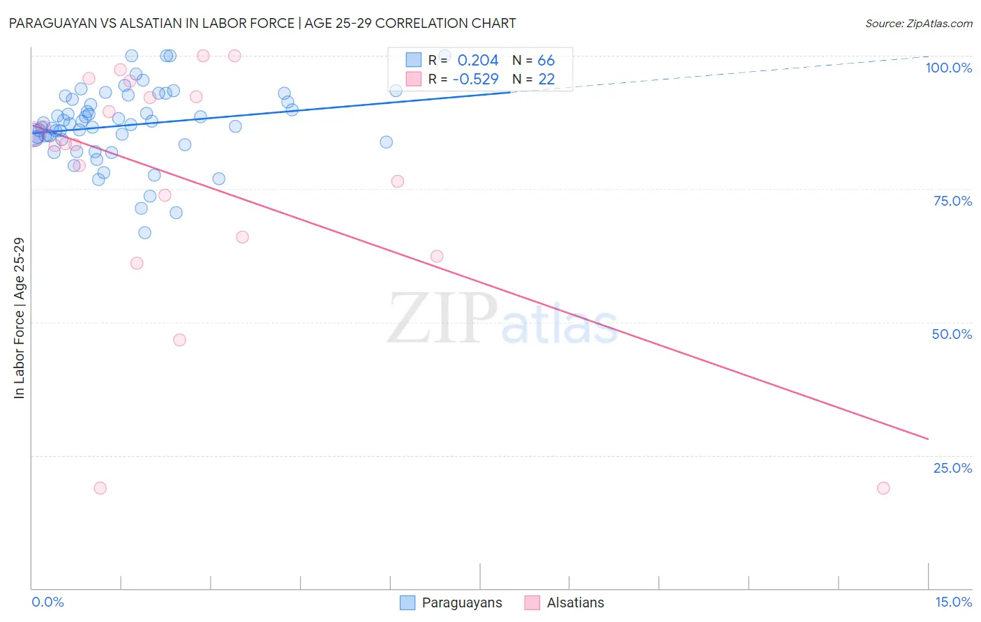 Paraguayan vs Alsatian In Labor Force | Age 25-29