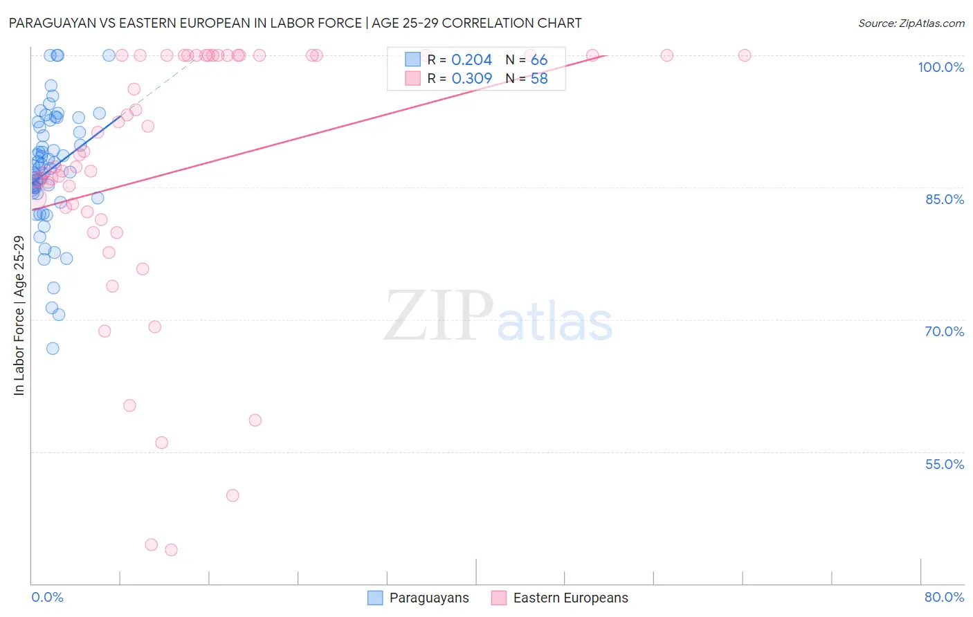 Paraguayan vs Eastern European In Labor Force | Age 25-29