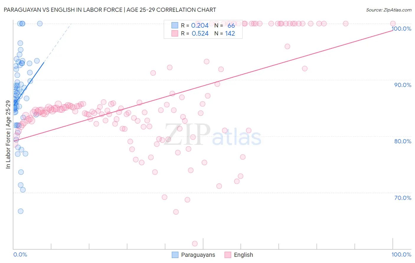 Paraguayan vs English In Labor Force | Age 25-29