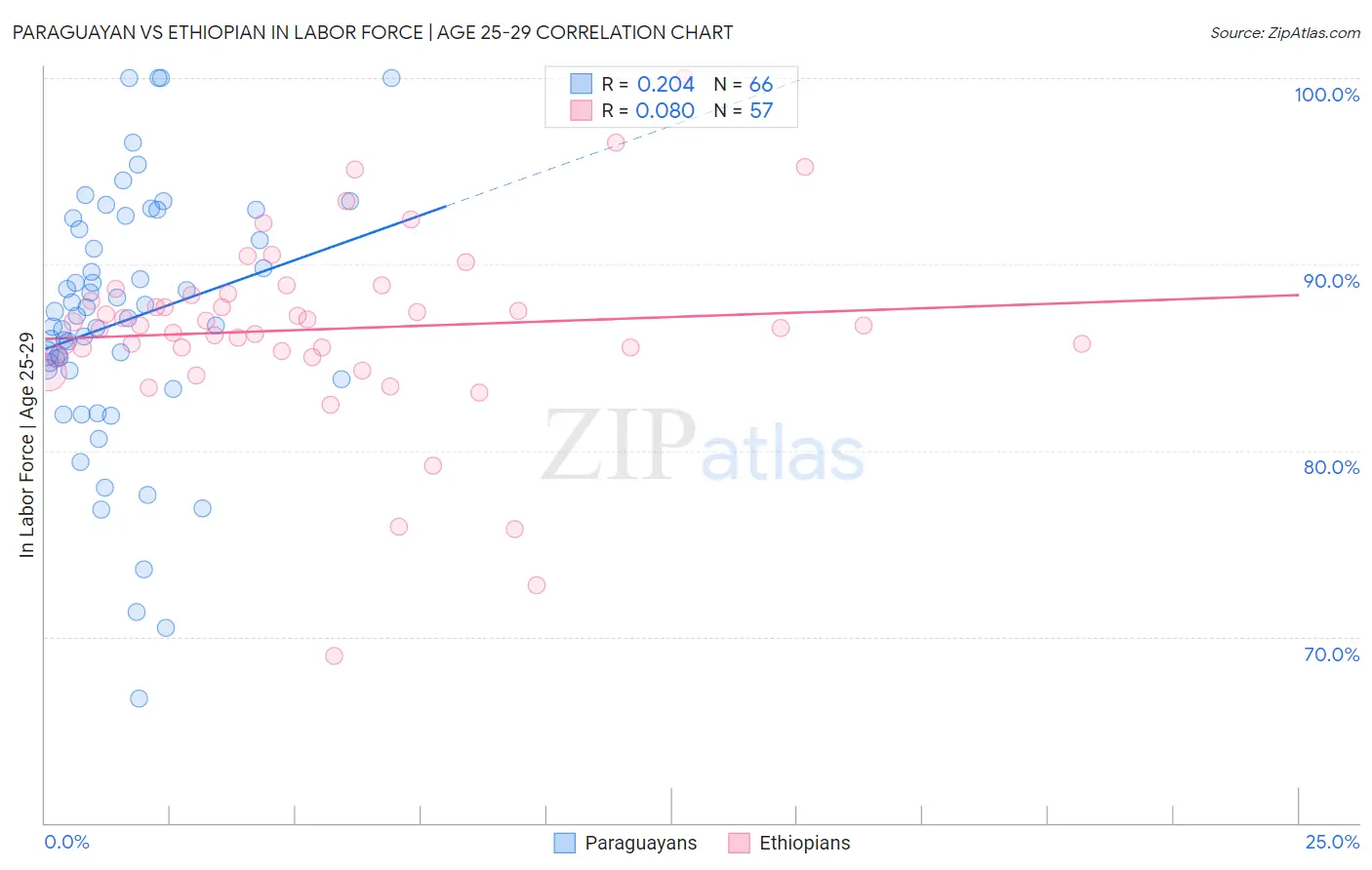 Paraguayan vs Ethiopian In Labor Force | Age 25-29