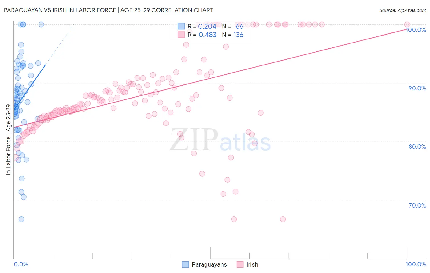 Paraguayan vs Irish In Labor Force | Age 25-29