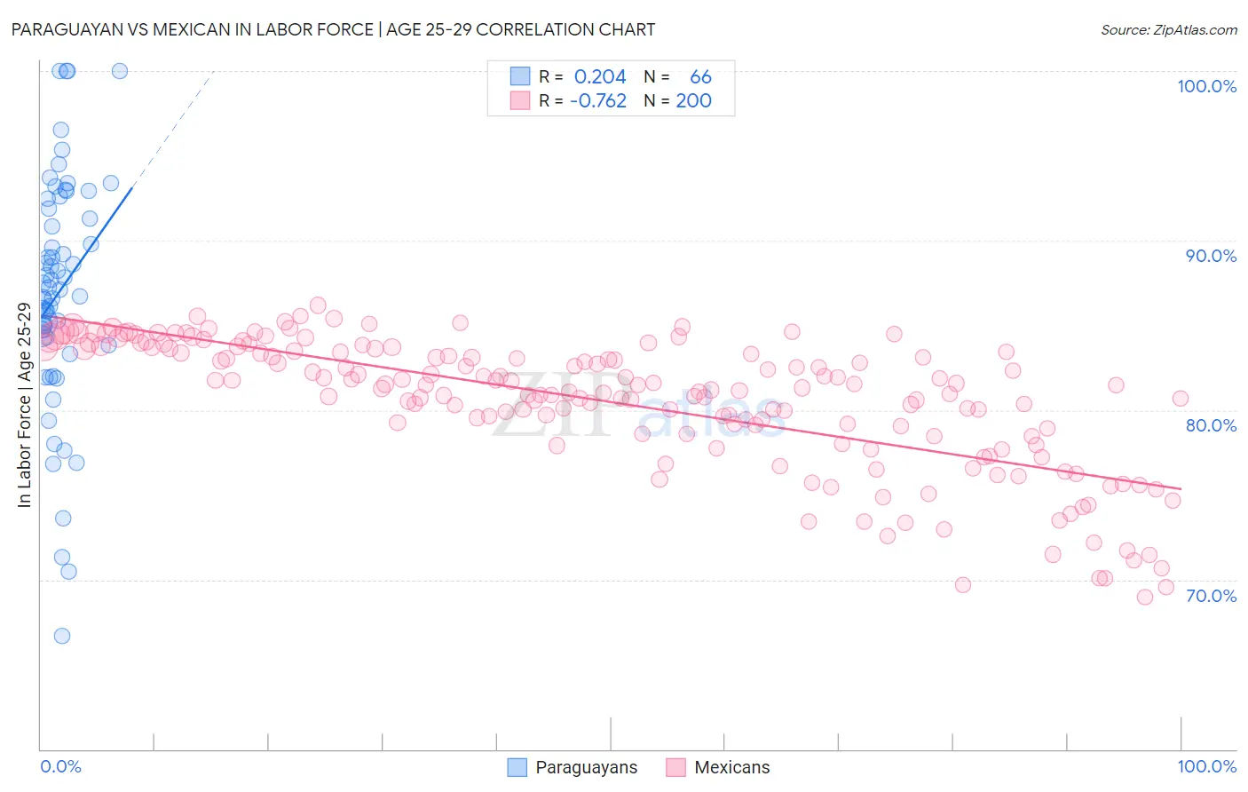 Paraguayan vs Mexican In Labor Force | Age 25-29