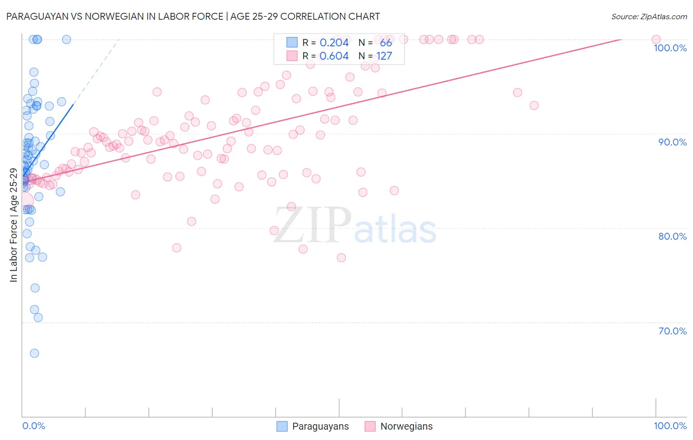 Paraguayan vs Norwegian In Labor Force | Age 25-29